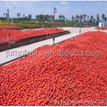 Pasta de tomate enlatada equipo completo